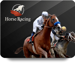 Exploring the Features of FB88 Bet Online for New Users